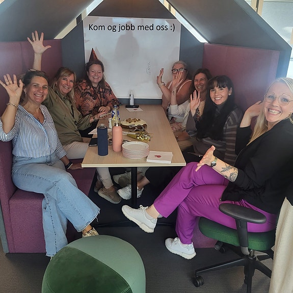 Bilde 1 av 1 i jobbannonse-galleriet