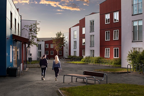 Bilde 1 av 2 i jobbannonse-galleriet