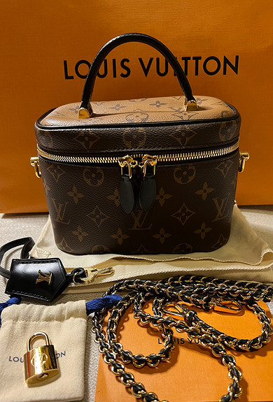 Louis Vuitton Vanity pm (M45165) in 2023