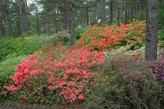 Bilde 4 av 4 i jobbannonse-galleriet