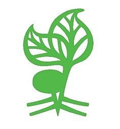 Stiftelsen Det norske arboret logo