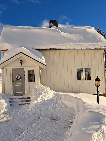 Inngangspartiet