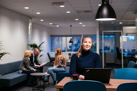 Bilde 1 av 1 i jobbannonse-galleriet