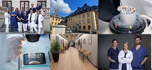 Bilde 1 av 12 i jobbannonse-galleriet
