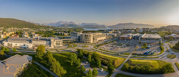 Bilde 1 av 10 i jobbannonse-galleriet
