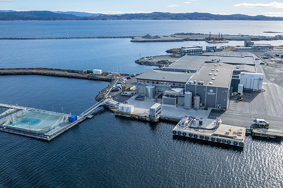 Bilde 3 av 20 i jobbannonse-galleriet