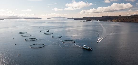 Bilde 1 av 5 i jobbannonse-galleriet