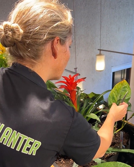 Bilde 1 av 3 i jobbannonse-galleriet