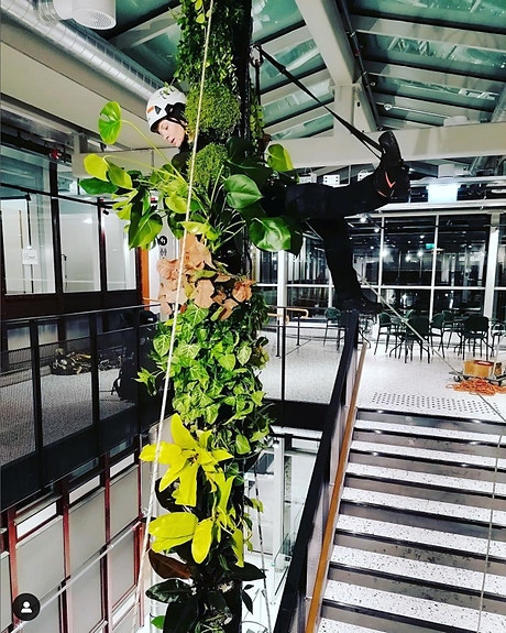 Bilde 3 av 3 i jobbannonse-galleriet