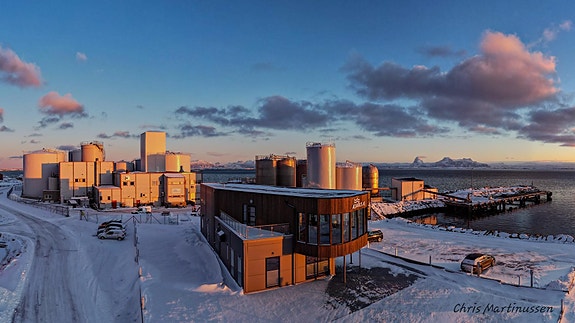 Bilde 1 av 1 i jobbannonse-galleriet