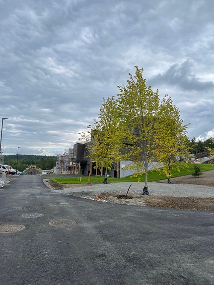 Bilde 6 av 6 i jobbannonse-galleriet