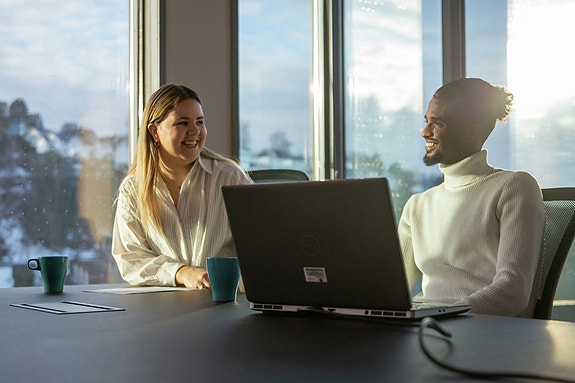 Bilde 2 av 2 i jobbannonse-galleriet