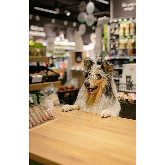 Bilde 1 av 9 i jobbannonse-galleriet