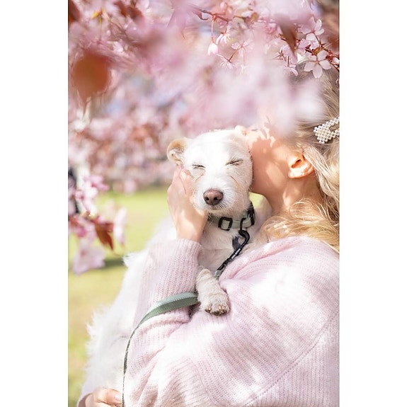 Bilde 3 av 9 i jobbannonse-galleriet