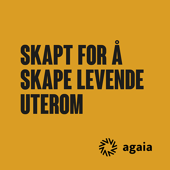 Bilde 2 av 2 i jobbannonse-galleriet