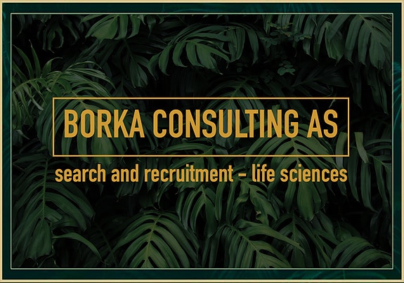 Bilde 4 av 4 i jobbannonse-galleriet