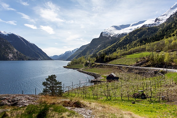 Bilde 5 av 6 i jobbannonse-galleriet