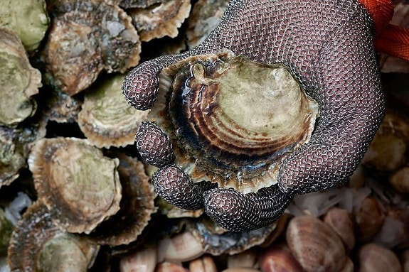 Bilde 2 av 12 i jobbannonse-galleriet