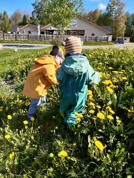 Bilde 3 av 3 i jobbannonse-galleriet