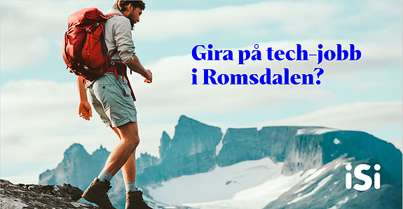 Bilde 1 av 5 i jobbannonse-galleriet