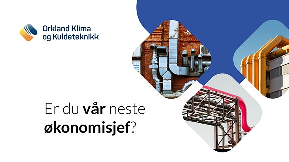 Bilde 1 av 1 i jobbannonse-galleriet