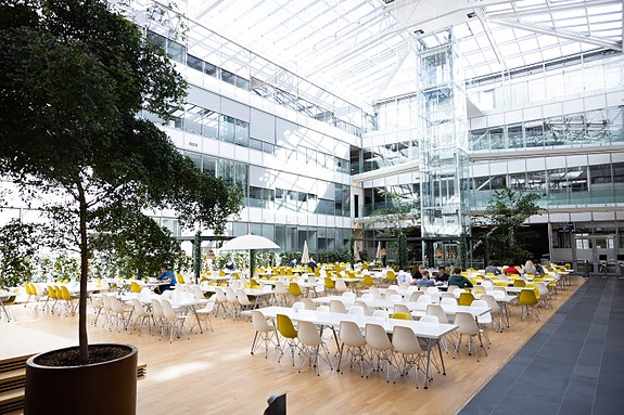 Bilde 1 av 1 i jobbannonse-galleriet