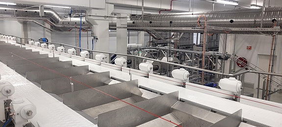 Bilde 6 av 20 i jobbannonse-galleriet