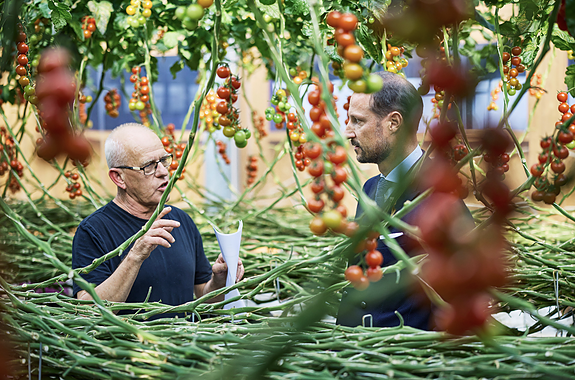 Driftssjef Anders Iversen møter Kronprins Haakon  foto: Bjørn Gudim