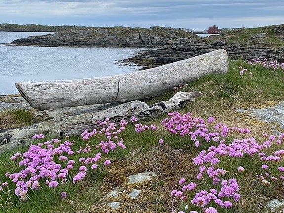 Bilde 3 av 3 i jobbannonse-galleriet