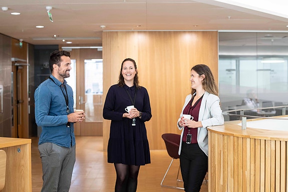 Bilde 1 av 1 i jobbannonse-galleriet