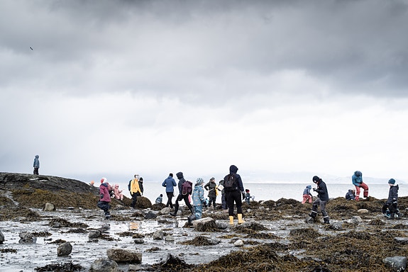 Bilde 1 av 5 i jobbannonse-galleriet