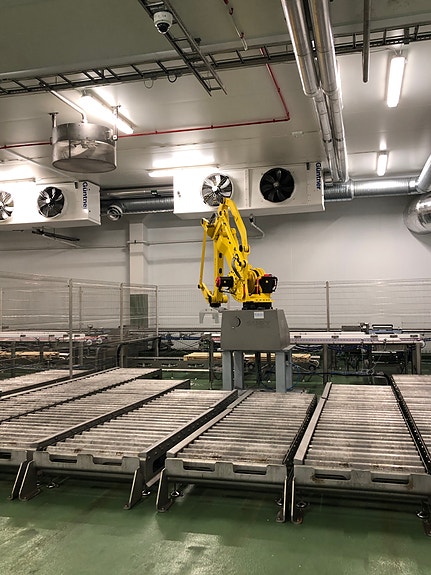 Bilde 11 av 13 i jobbannonse-galleriet