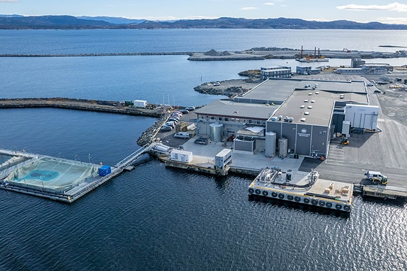 Bilde 1 av 13 i jobbannonse-galleriet