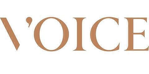 Voice Norge AS logo