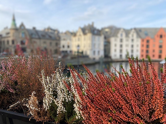 Bilde 13 av 13 i jobbannonse-galleriet