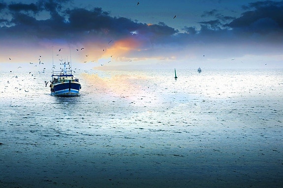Bilde 7 av 8 i jobbannonse-galleriet