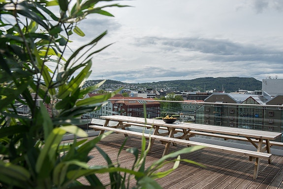 Bilde 4 av 5 i jobbannonse-galleriet