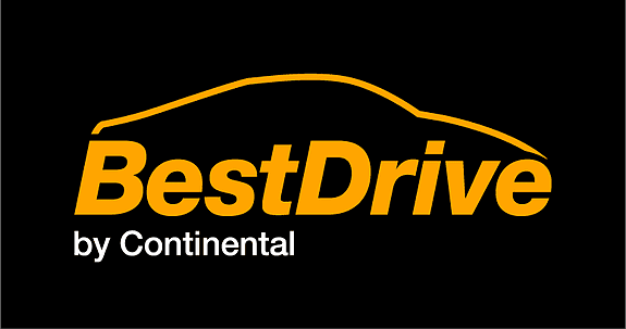 BestDrive avd. Borgeskogen logo
