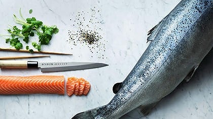 Bilde 1 av 3 i jobbannonse-galleriet