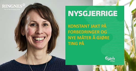 Bilde 1 av 4 i jobbannonse-galleriet