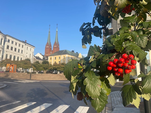Bilde 1 av 1 i jobbannonse-galleriet