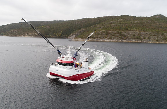 Bilde 3 av 4 i jobbannonse-galleriet