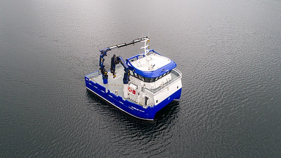 Bilde 4 av 4 i jobbannonse-galleriet