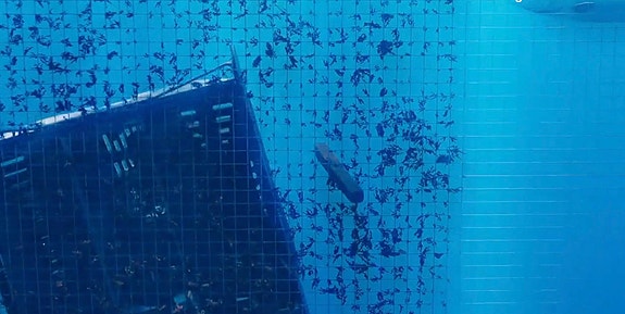 Bilde 4 av 5 i jobbannonse-galleriet