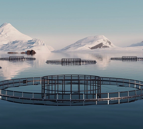 Bilde 1 av 5 i jobbannonse-galleriet