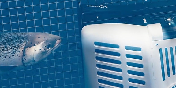 Bilde 3 av 5 i jobbannonse-galleriet