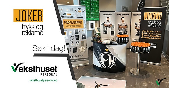 Bilde 1 av 1 i jobbannonse-galleriet