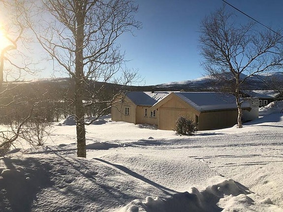 Bilde 5 av 5 i jobbannonse-galleriet