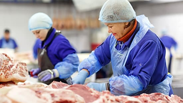 Bilde 1 av 1 i jobbannonse-galleriet