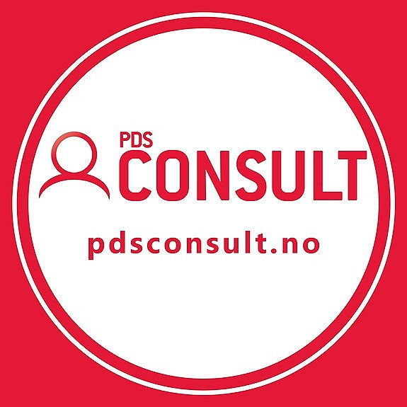 PDS Consult logo
